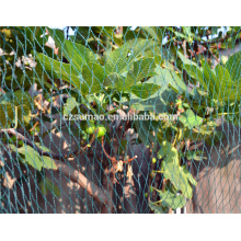 Plastic Green Climbing Plant Support Netting for sale